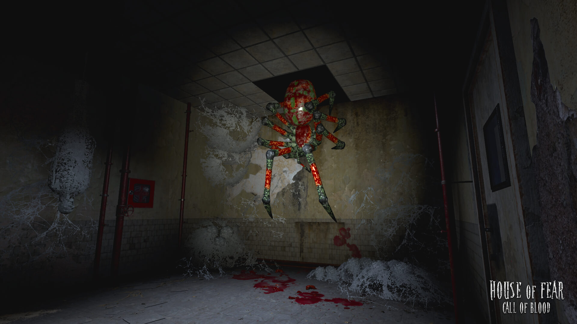 Spider.jpg
